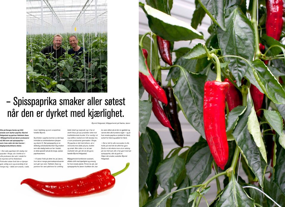 eneste som dyrker paprika: Øyvind forteller Øyvind. sterkt fokus på nye produkter rettet mot vannet etter alle kunstens regler og at Helgestad og gartner Hallstein Aase kvalitetsbevisste kunder.