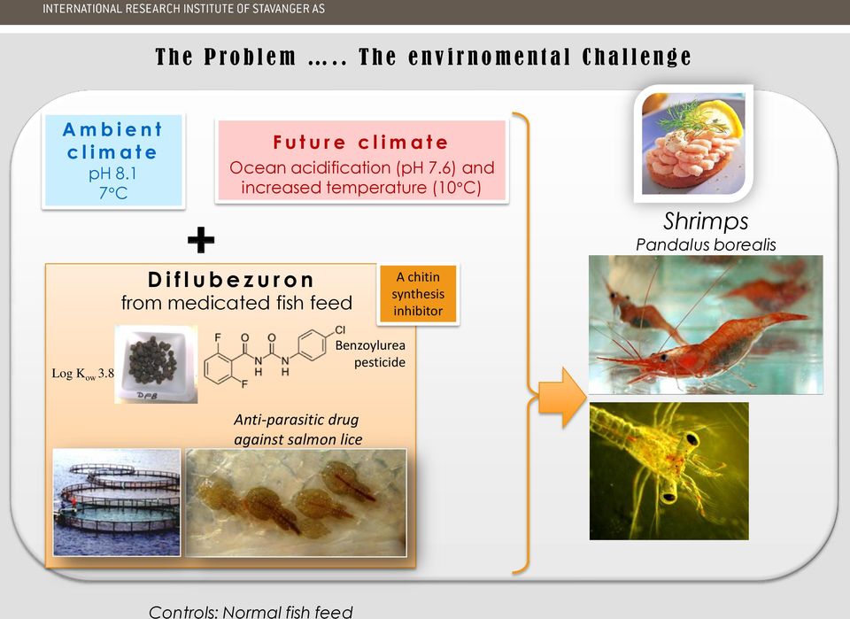 1 7 C F u t u r e c l i m a t e Ocean acidification (ph 7.