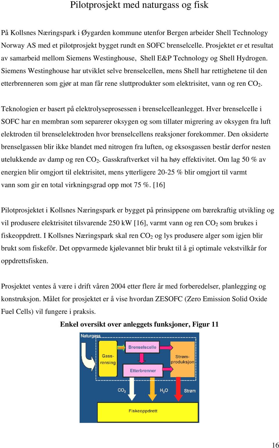 Siemens Westinghouse har utviklet selve brenselcellen, mens Shell har rettighetene til den etterbrenneren som gjør at man får rene sluttprodukter som elektrisitet, vann og ren CO 2.