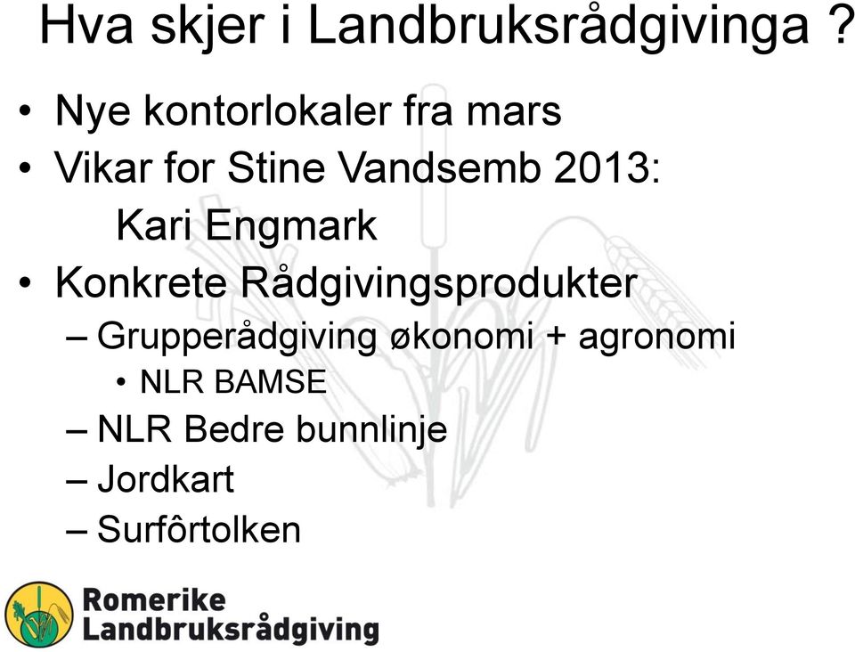 2013: Kari Engmark Konkrete Rådgivingsprodukter