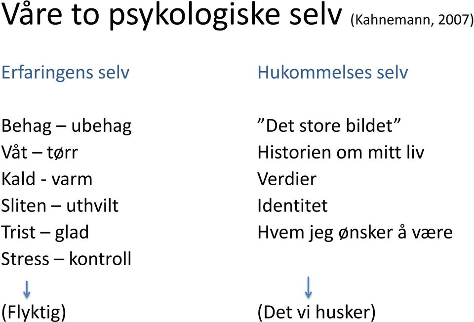 Stress kontroll (Flyktig) Hukommelses selv Det store bildet