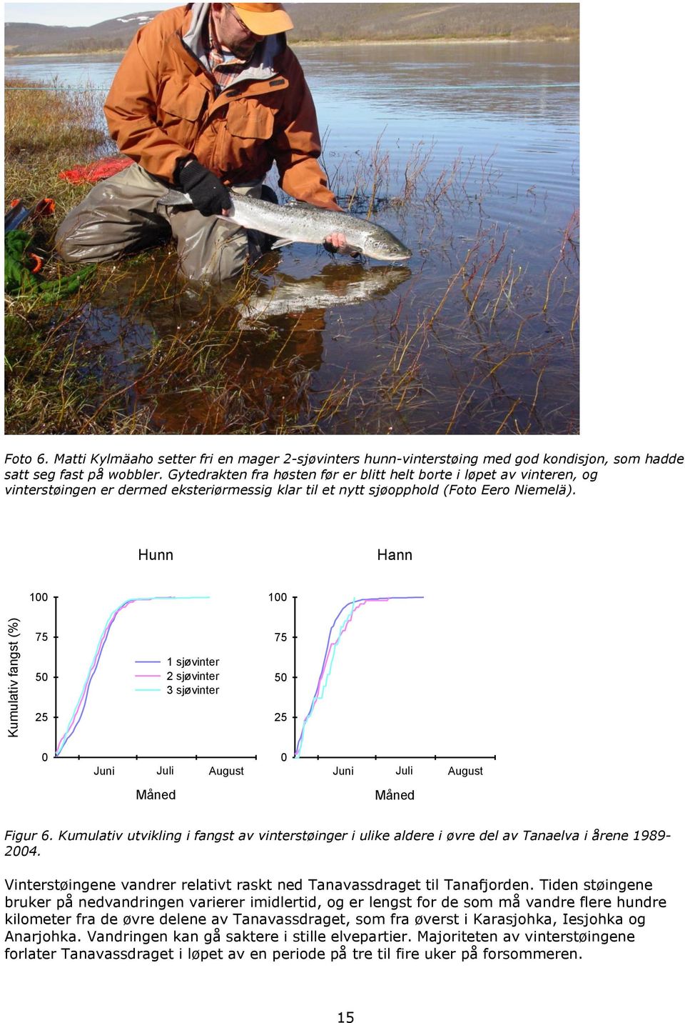 Hunn Hann Kumulativ fangst () 7 sjøvinter 7 Juni Juli August Juni Juli August Figur 6. Kumulativ utvikling i fangst av vinterstøinger i ulike aldere i øvre del av Tanaelva i årene 989-.