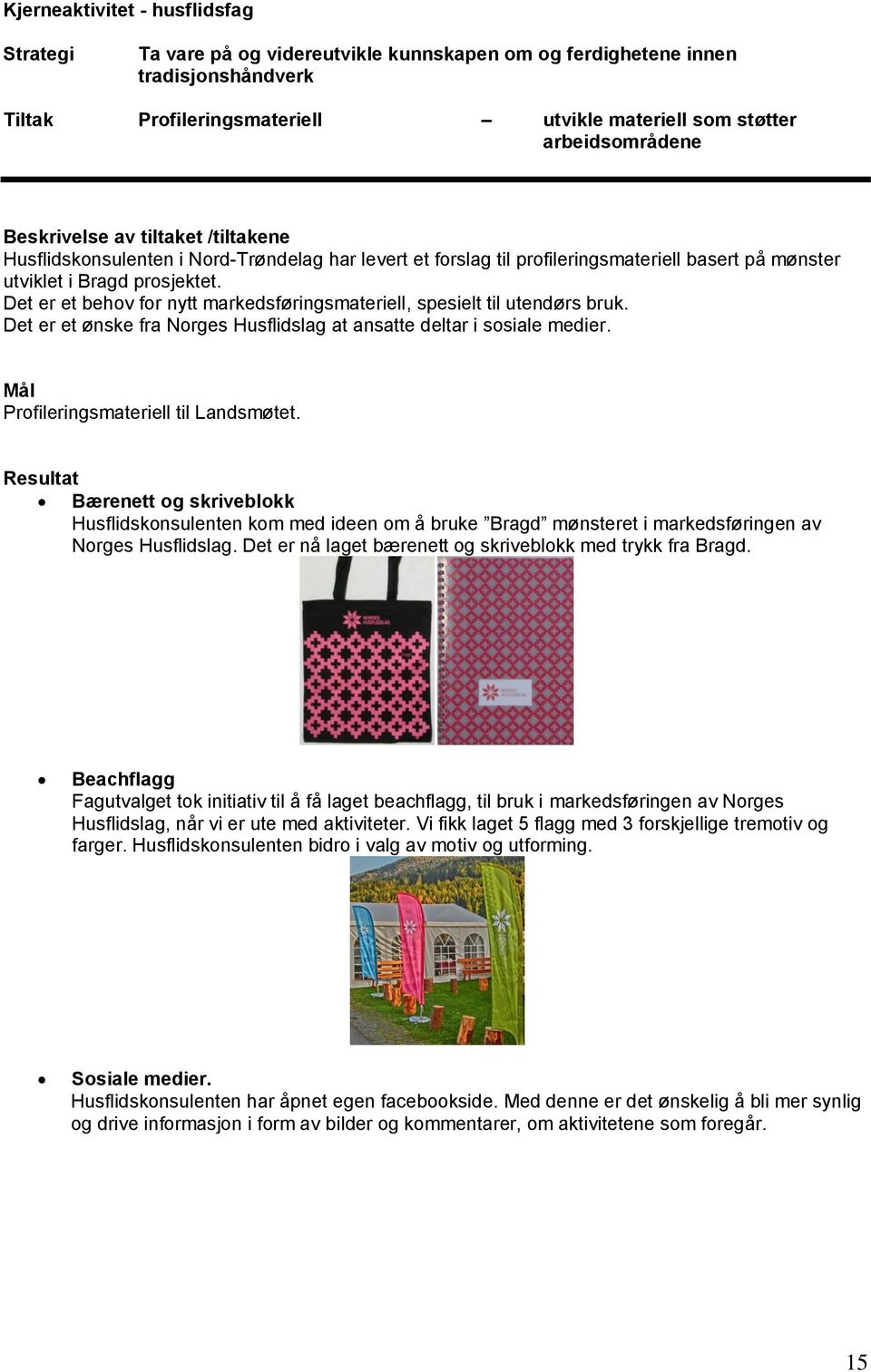 Det er et behov for nytt markedsføringsmateriell, spesielt til utendørs bruk. Det er et ønske fra Norges Husflidslag at ansatte deltar i sosiale medier. Profileringsmateriell til Landsmøtet.