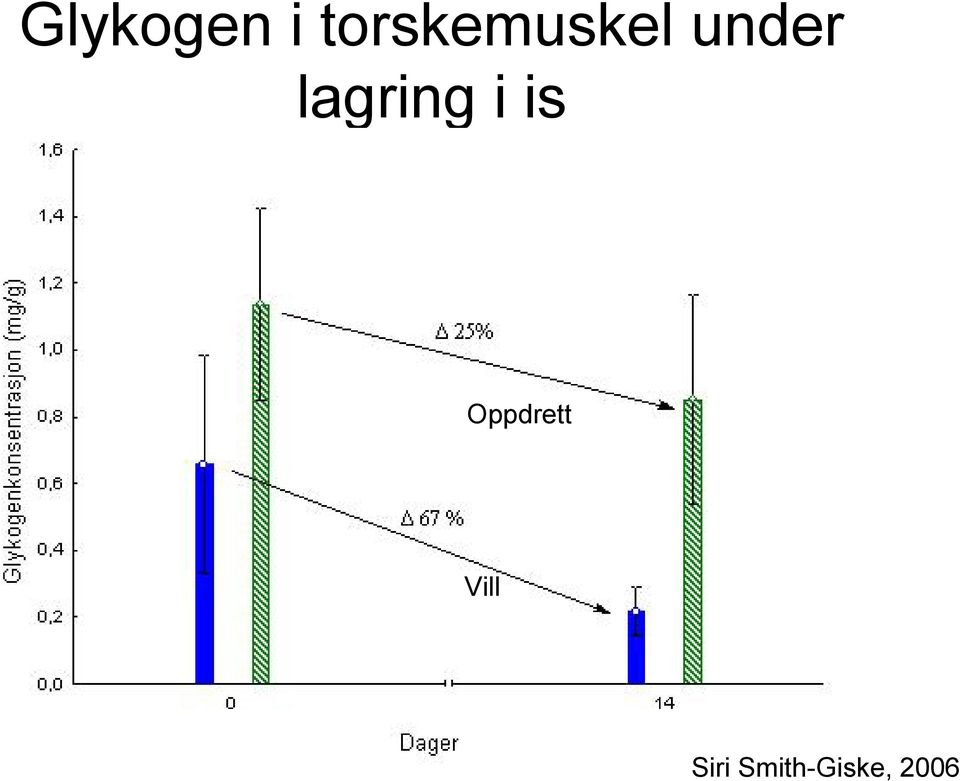 torskemuskel under