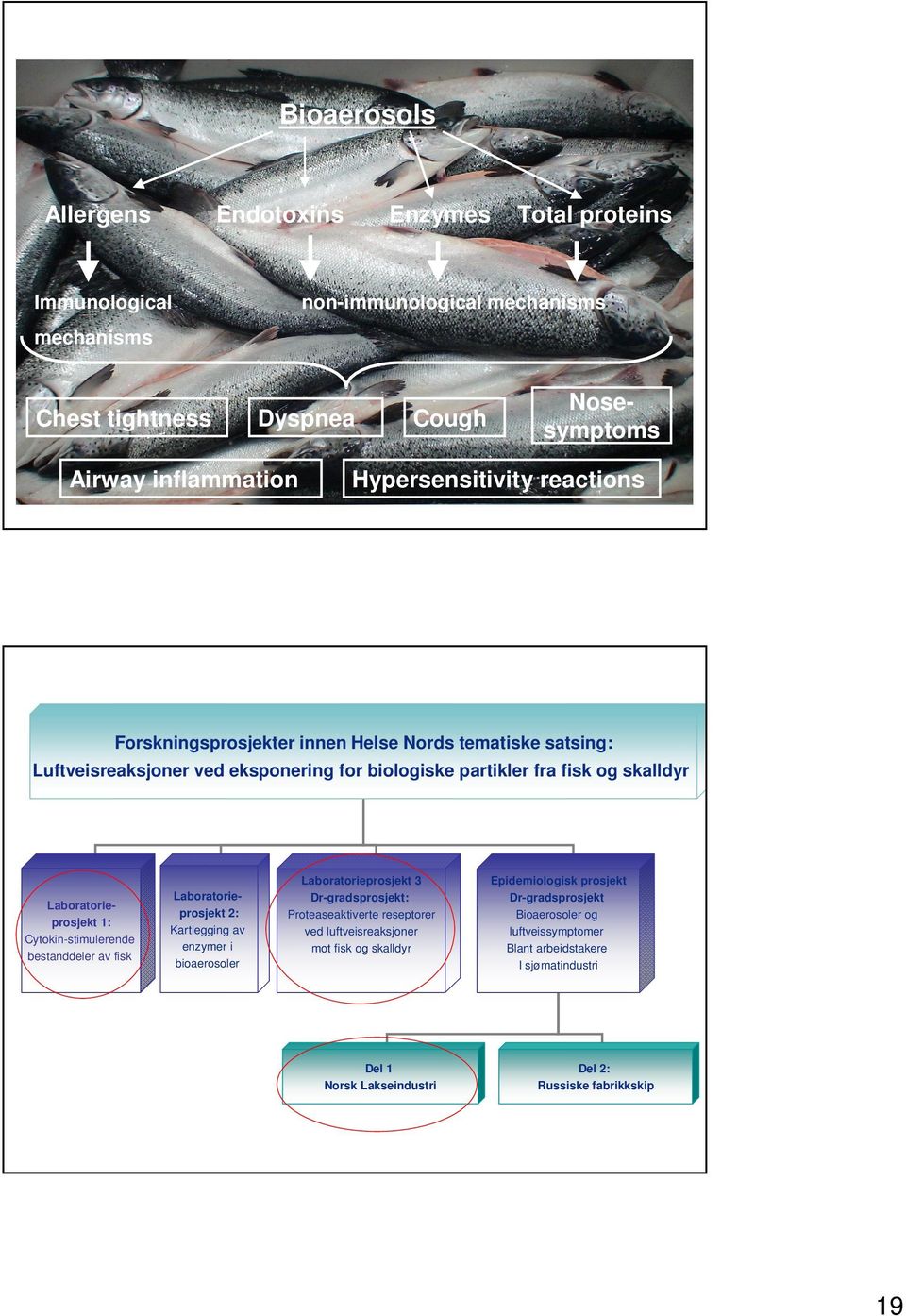 1: Cytokin-stimulerende bestanddeler av fisk Laboratorieprosjekt 2: Kartlegging av enzymer i bioaerosoler Laboratorieprosjekt 3 Dr-gradsprosjekt: Proteaseaktiverte reseptorer ved