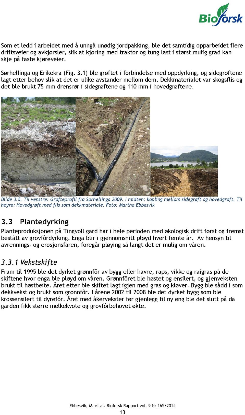 Dekkmaterialet var skogsflis og det ble brukt 75 mm drensrør i sidegrøftene og 110 mm i hovedgrøftene. Bilde 3.5. Til venstre: Grøfteprofil fra Sørhellinga 2009.