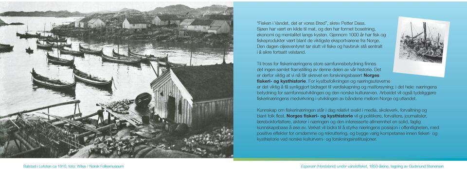 Til tross for fiskerinæringens store samfunnsbetydning finnes det ingen samlet framstilling av denne delen av vår historie.