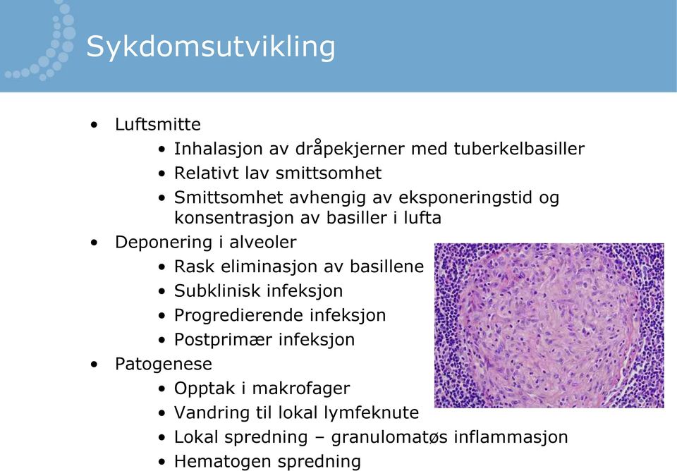 Patogenese Rask eliminasjon av basillene Subklinisk infeksjon Progredierende infeksjon Postprimær