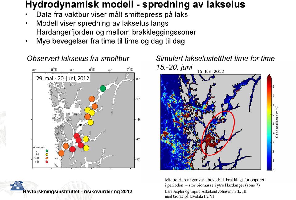 lakselus fra smoltbur Simulert lakselustetthet time for time 15.-20.