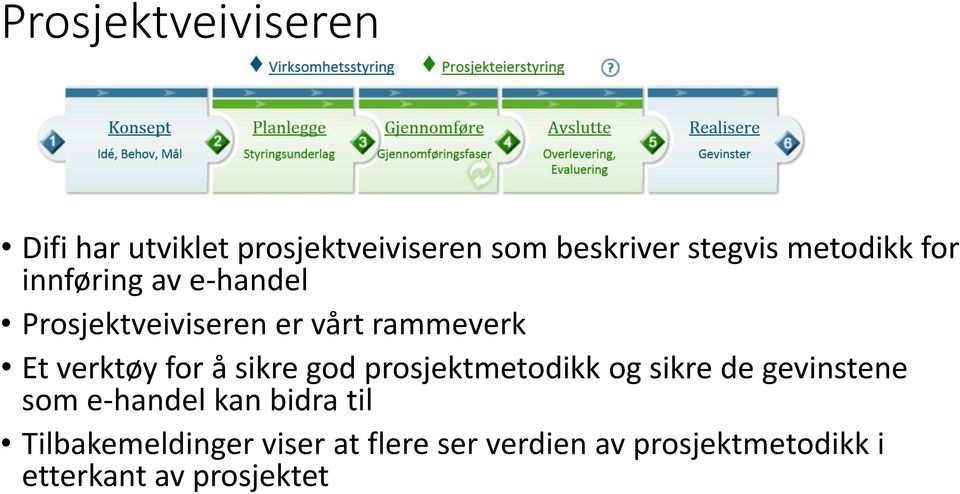 for å sikre god prosjektmetodikk og sikre de gevinstene som e-handel kan bidra til