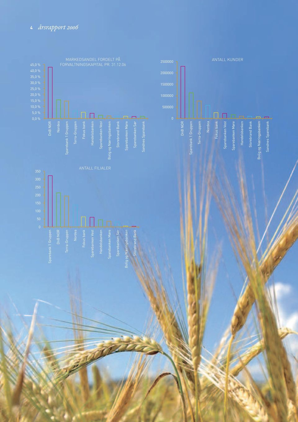 Sparebanken Vest Sparebanken Møre Handelsbanken Storebrand Bank Bolig og Næringsbanken Sandnes Sparebank 350 ANTALL FILIALER 300 250 200 150 100 50 0 Sparebank 1 Gruppen DnB NOR