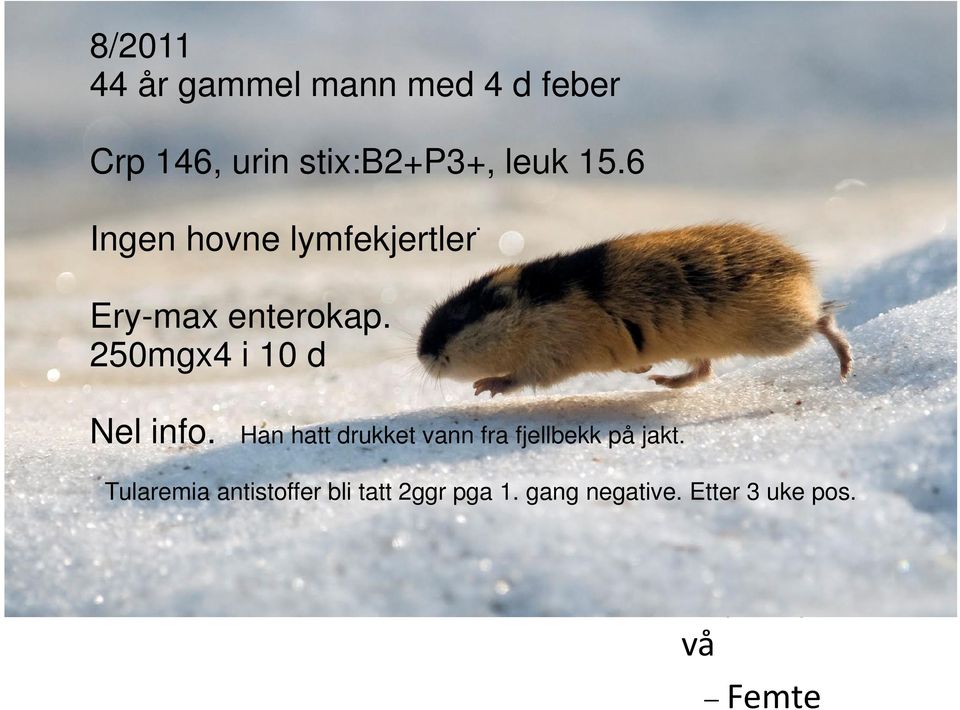 jpgikke i 10 d kom nærmere Nel info. Han hatt drukket vann fra fjellbekk på jakt.