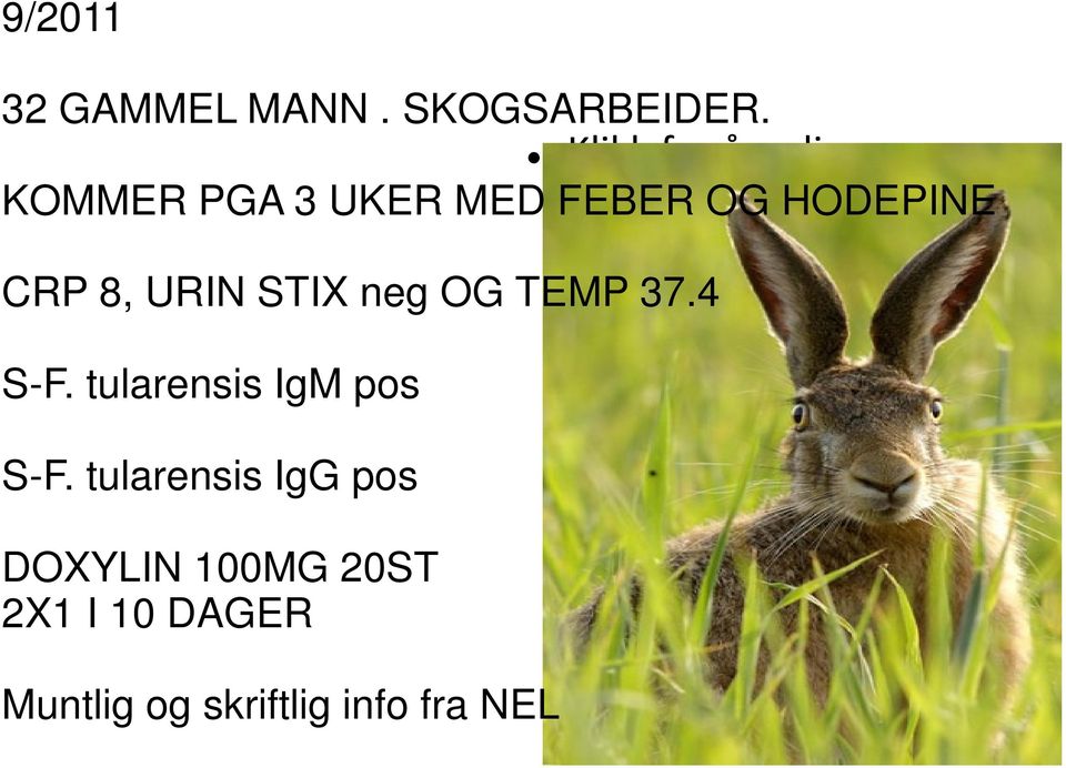 CRP 8, URIN STIX neg OG TEMP 37.4 S-F. tularensis IgM pos S-F.