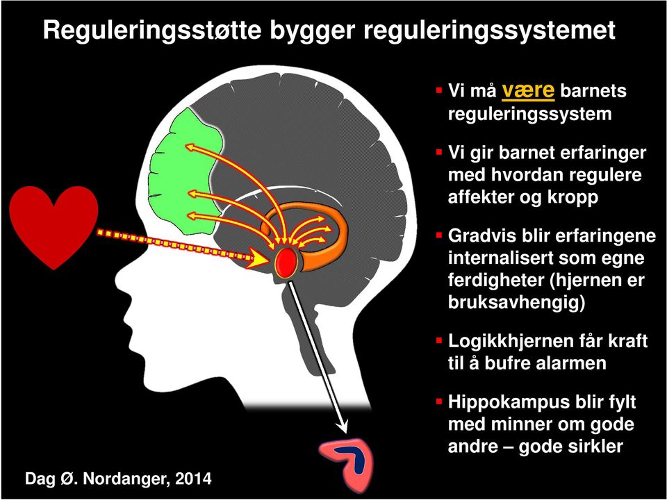 erfaringene internalisert som egne ferdigheter (hjernen er bruksavhengig)