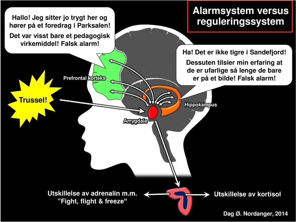 Prefrontal korteks Alarmsystem versus reguleringssystem Ha! Det er ikke tigre i Sandefjord!