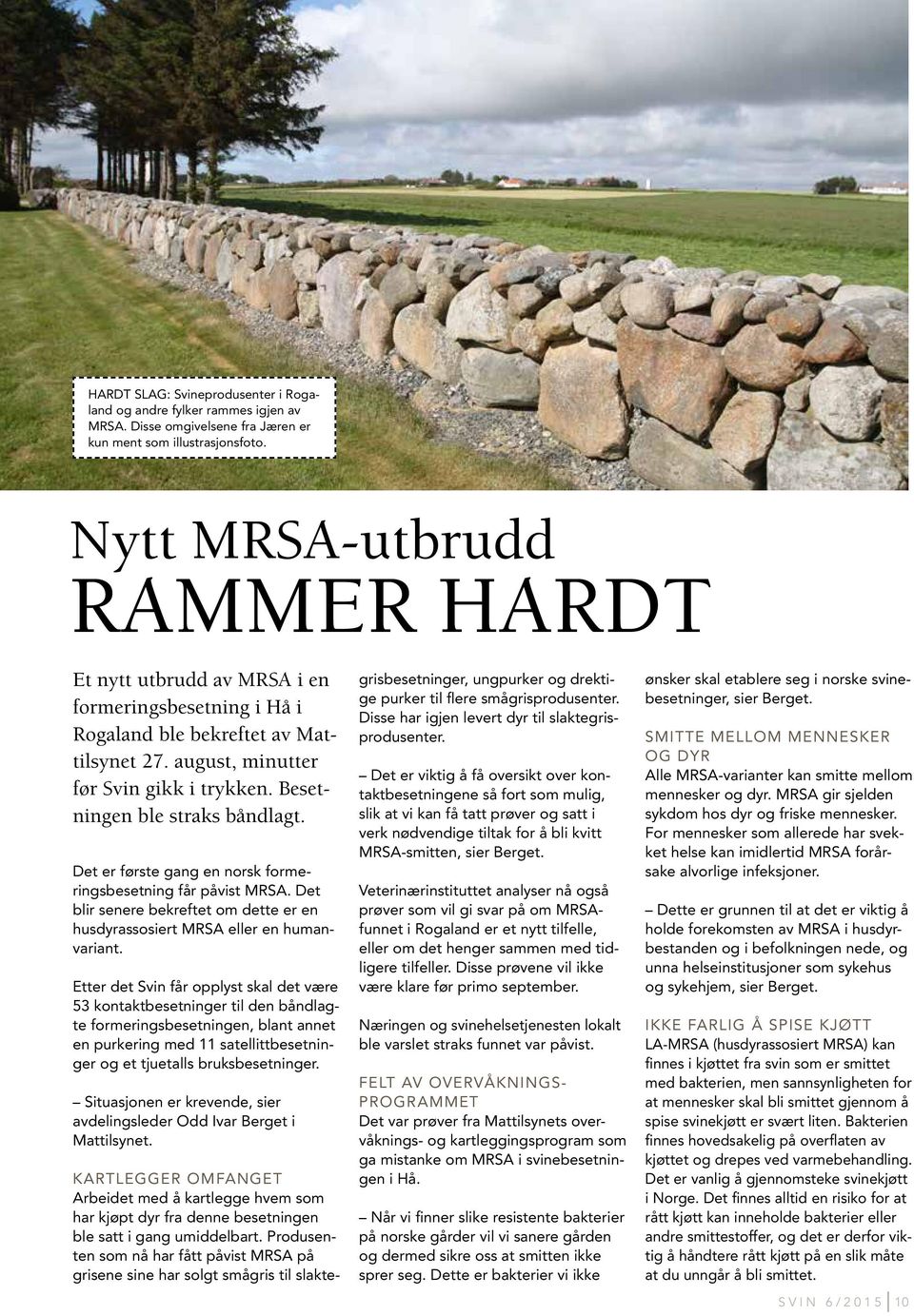 Besetningen ble straks båndlagt. Det er første gang en norsk formeringsbesetning får påvist MRSA. Det blir senere bekreftet om dette er en husdyrassosiert MRSA eller en humanvariant.