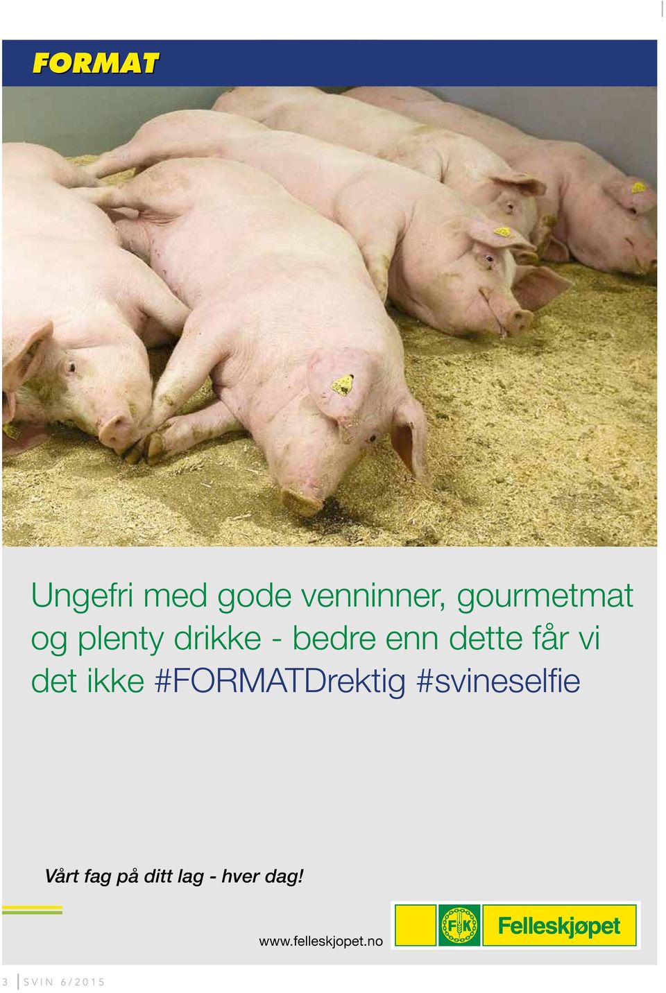 ikke #FORMATDrektig #svineselfie Vårt fag på