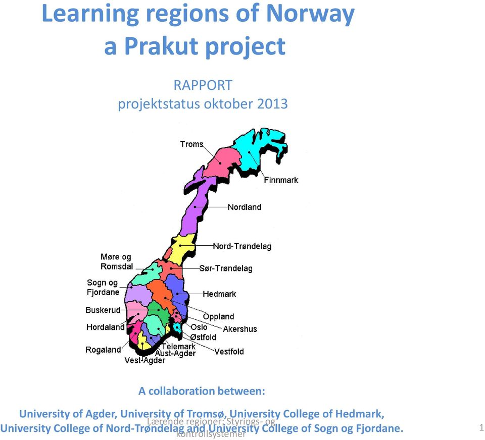 University College of Hedmark, Lærende regioner: Styrings- og University