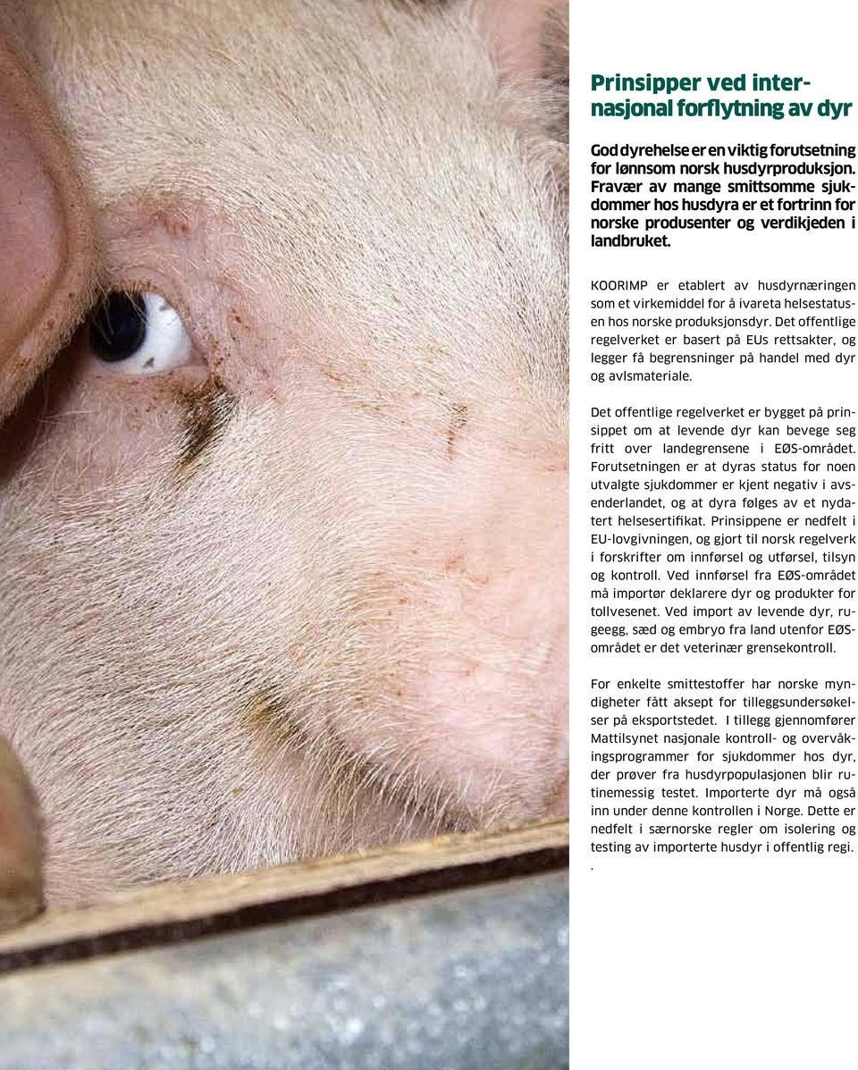 KOORIMP er etablert av husdyrnæringen som et virkemiddel for å ivareta helsestatusen hos norske produksjonsdyr.