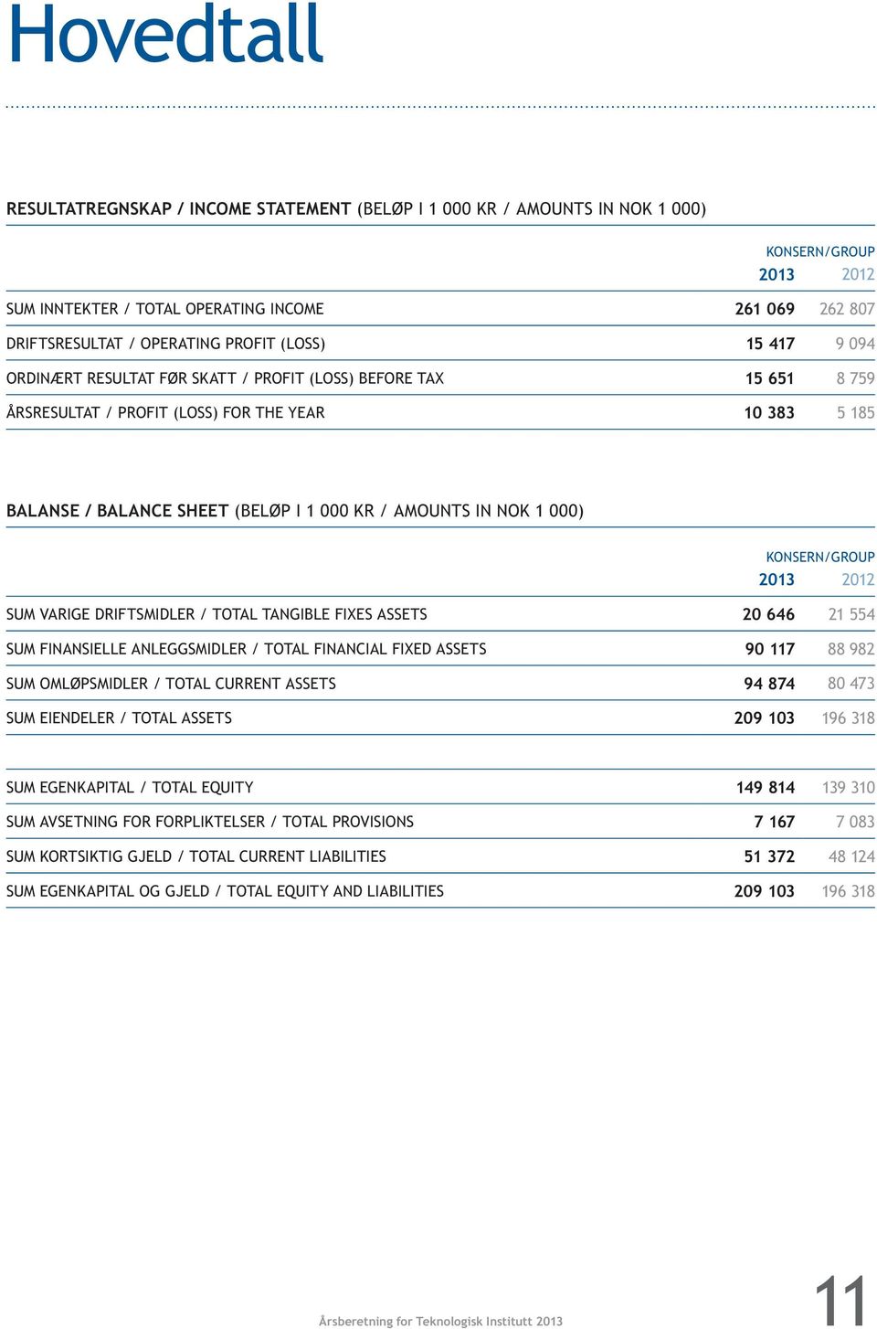 amounts in nok 1 000) konsern/group 2013 2012 Sum varige driftsmidler / total tangible fixes assets 20 646 21 554 sum finansielle anleggsmidler / total financial fixed assets 90 117 88 982 Sum