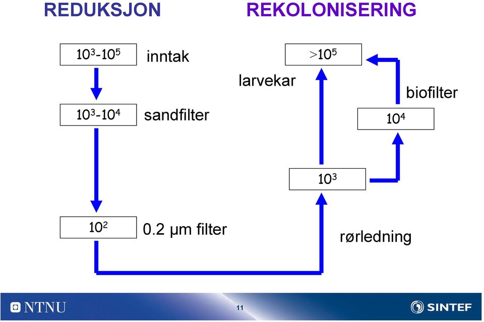 larvekar 10 3-10 4 10 4