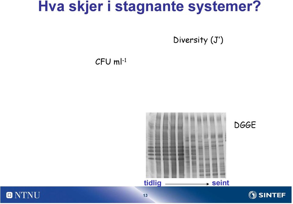 Diversity (J ) CFU