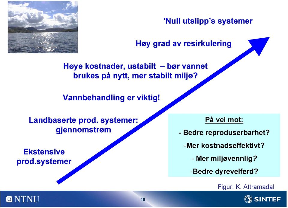 systemer: gjennomstrøm Ekstensive prod.systemer På vei mot: - Bedre reproduserbarhet?