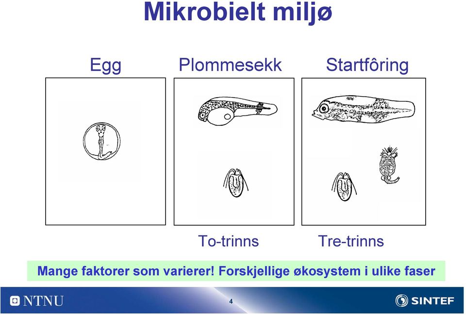 Mange faktorer som varierer!