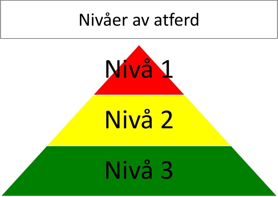 Nivå 1