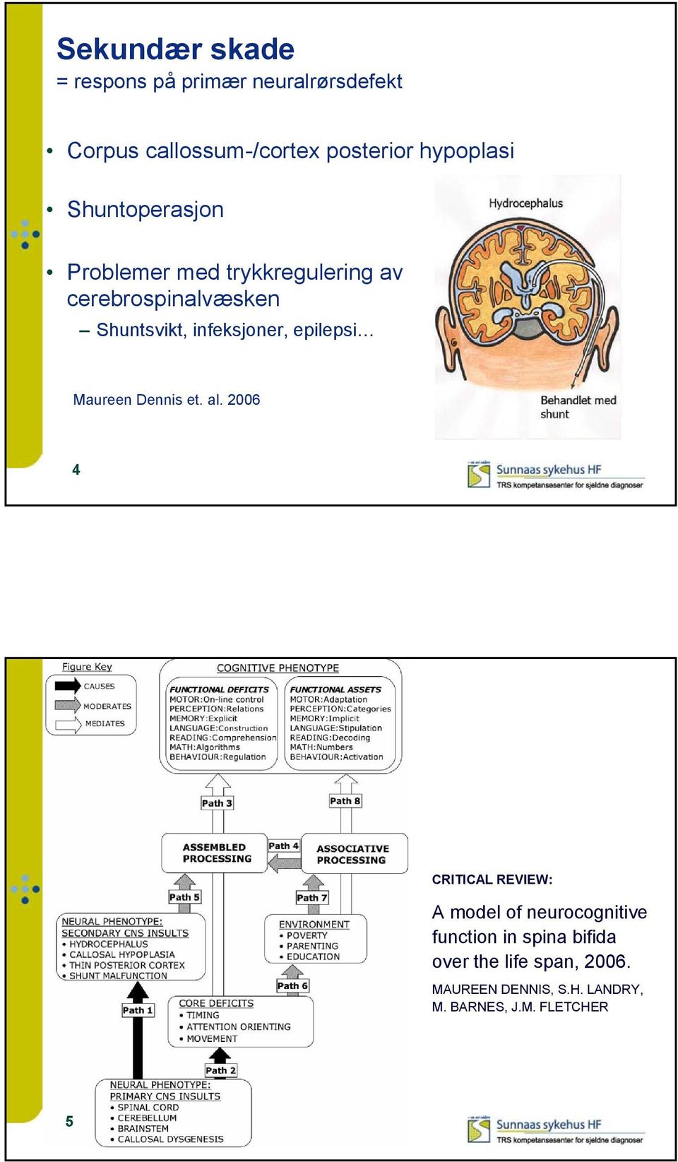 infeksjoner, epilepsi - Maureen Dennis et. al.