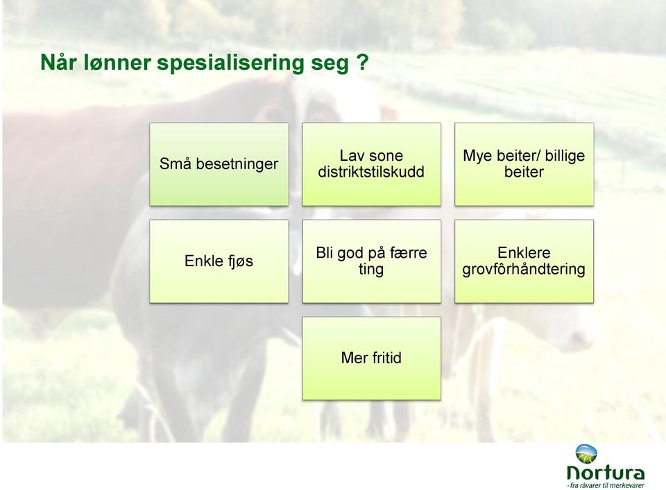 Mye beiter/ billige beiter Enkle fjøs Bli