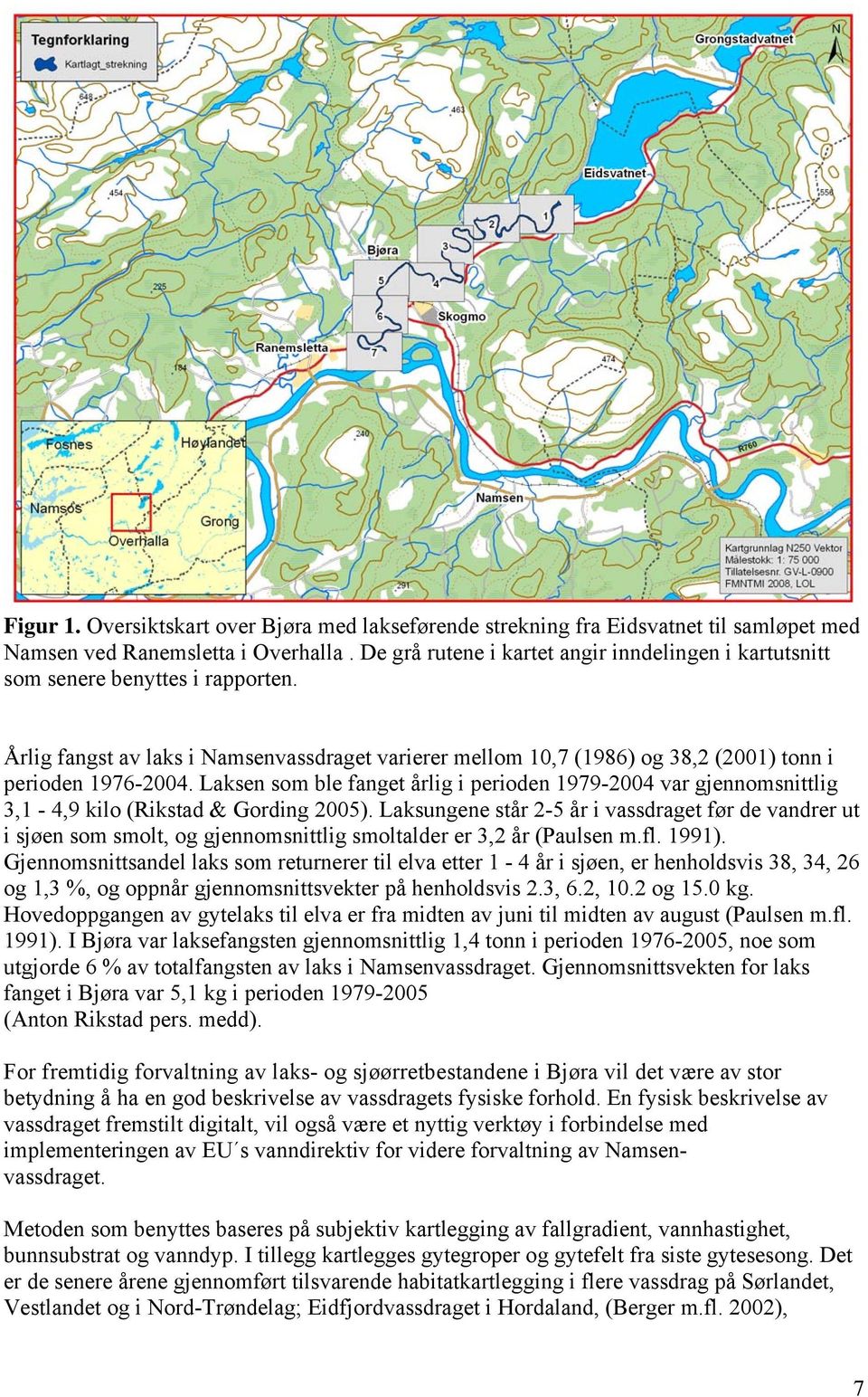 Laksen som ble fanget årlig i perioden 1979-2004 var gjennomsnittlig 3,1-4,9 kilo (Rikstad & Gording 2005).