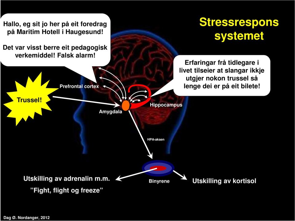 Prefrontal cortex Stressrespons systemet Erfaringar frå tidlegare i livet tilseier at slangar ikkje utgjer