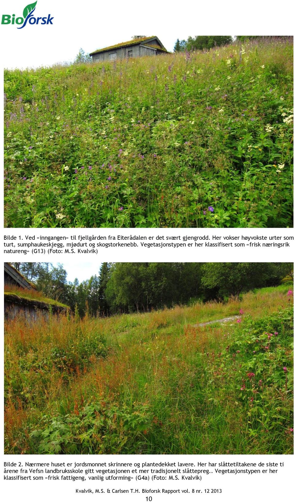 Vegetasjonstypen er her klassifisert som «frisk næringsrik natureng» (G13) (Foto: M.S. Kvalvik) Bilde 2.