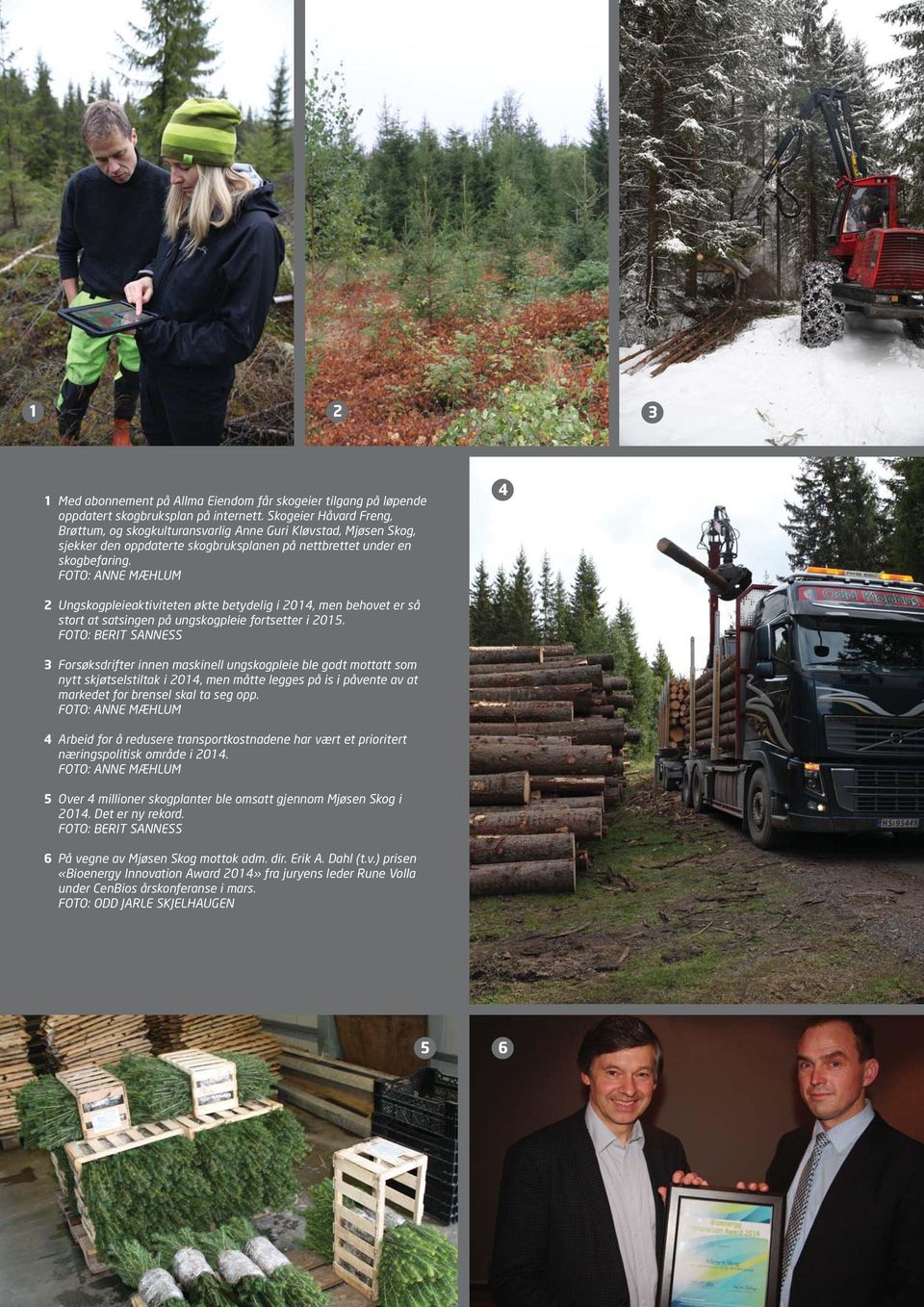 FOTO: ANNE MÆHLUM 4 2 Ungskogpleieaktiviteten økte betydelig i 2014, men behovet er så stort at satsingen på ungskogpleie fortsetter i 2015.