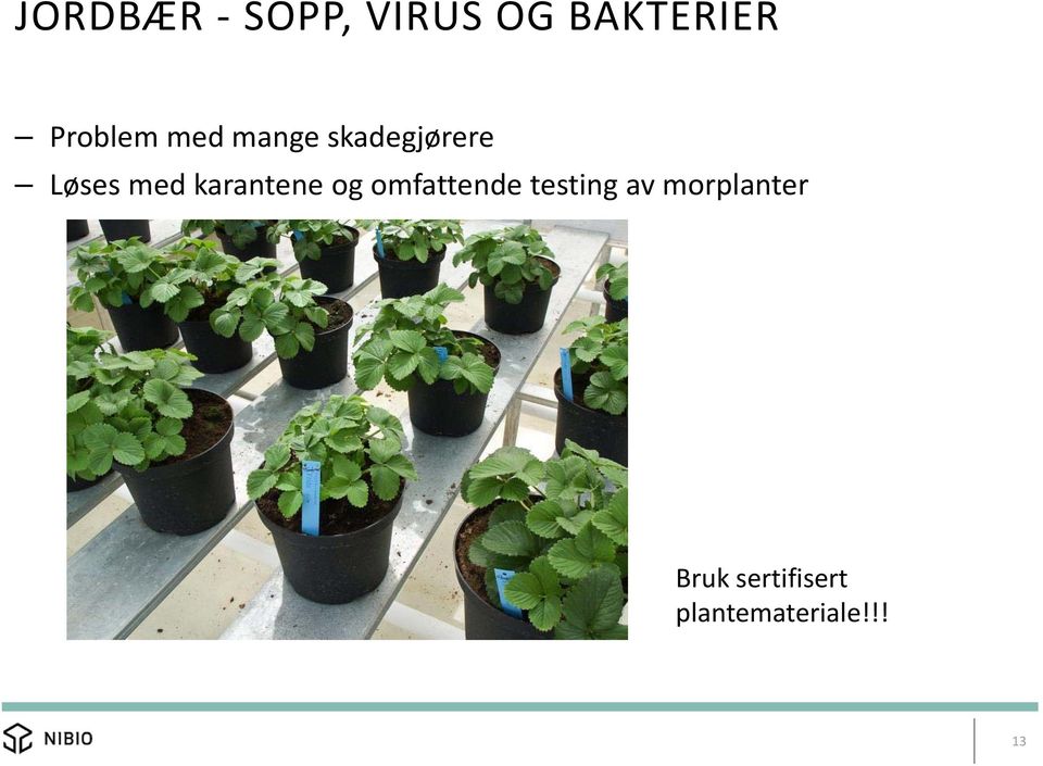 med karantene og omfattende testing av