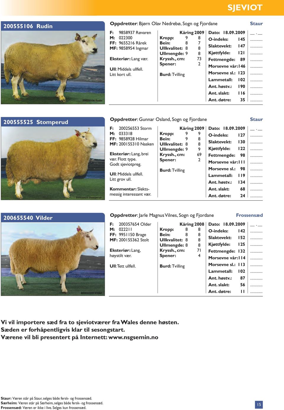 : 190 Ant. slakt: 116 Ant. døtre: 35 200555525 Stomperud Oppdretter: Gunnar Osland, Sogn og Fjordane F: 200256553 Storm M: 033318 9858928 Hilmar MF: 200155310 Nasken Eksteriør: Lang, brei vær.