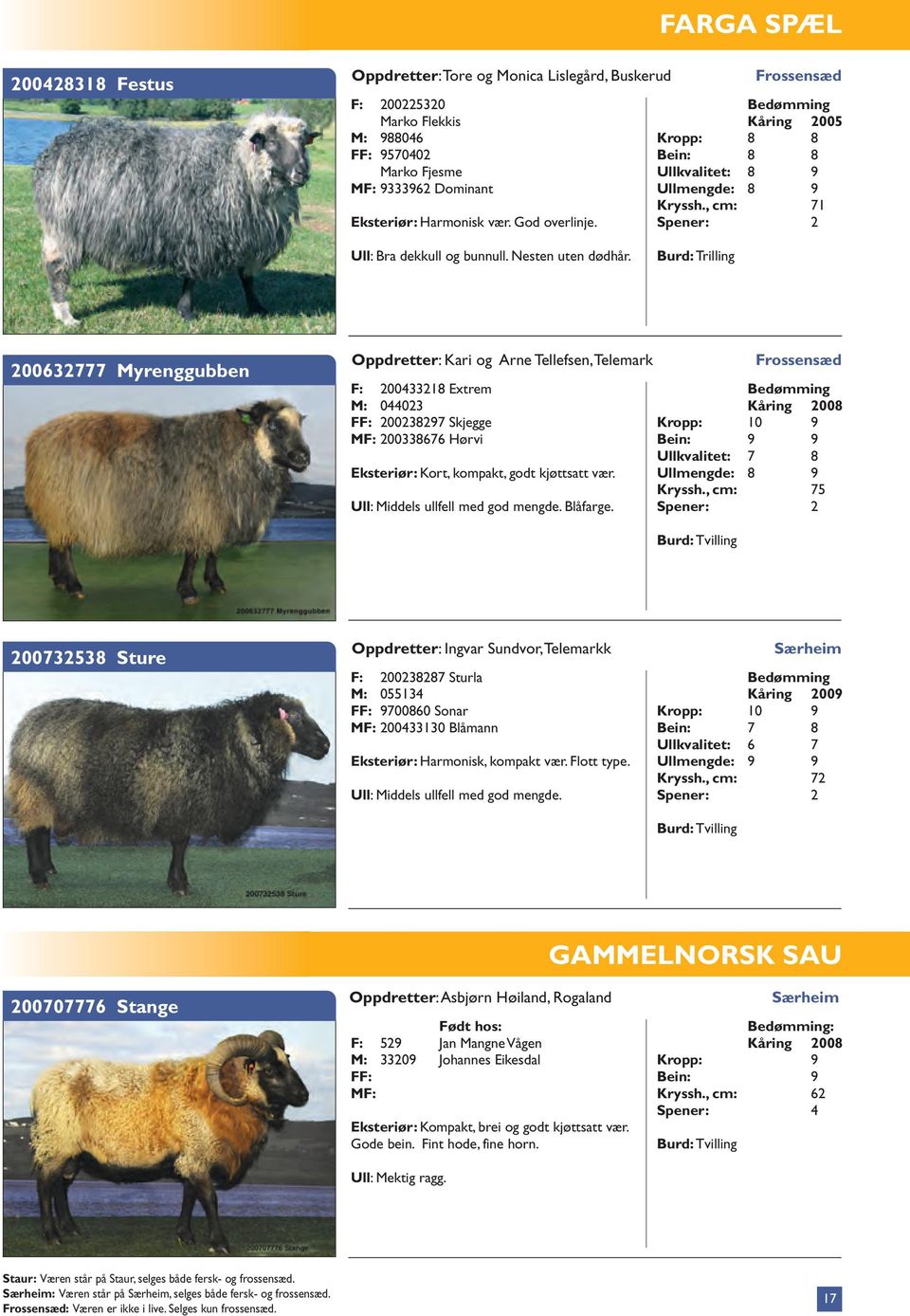 Burd: Trilling 200632777 Myrenggubben Oppdretter: Kari og Arne Tellefsen, Telemark F: 200433218 Extrem M: 044023 Kåring 2008 200238297 Skjegge Kropp: 10 9 MF: 200338676 Hørvi Bein: 9 9 Ullkvalitet: 7