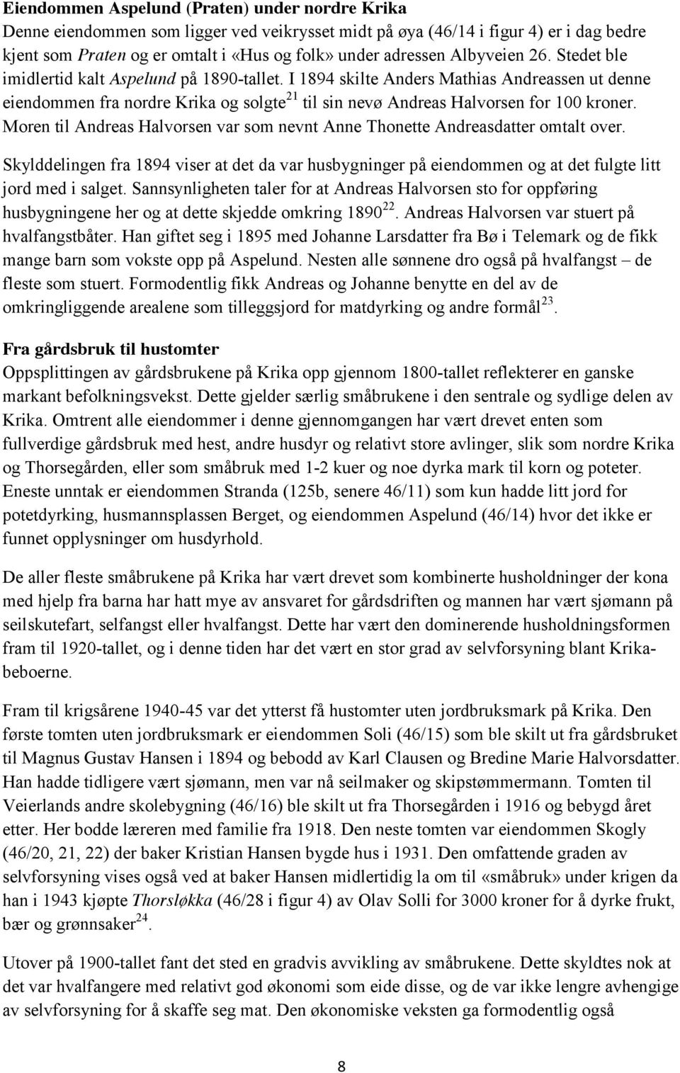 I 1894 skilte Anders Mathias Andreassen ut denne eiendommen fra nordre Krika og solgte 21 til sin nevø Andreas Halvorsen for 100 kroner.