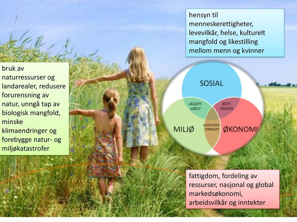 tap av biologisk mangfold, minske klimaendringer og forebygge natur- og miljøkatastrofer