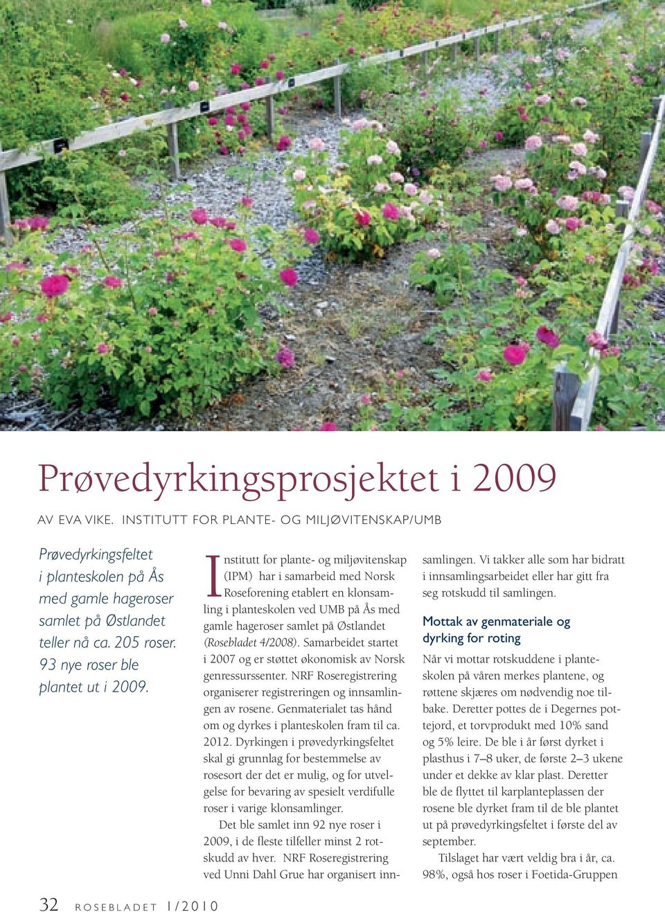 Institutt for plante- og miljøvitenskap (IPM) har i samarbeid med Norsk Roseforening etablert en klonsamling i planteskolen ved UMB på Ås med gamle hageroser samlet på Østlandet (Rose bladet 4/2008).