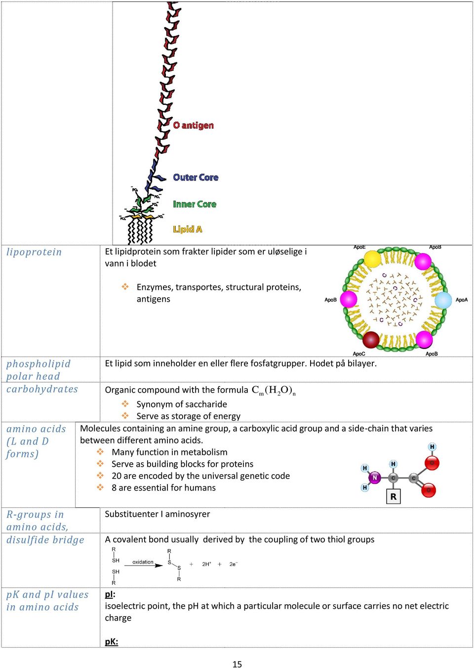 polar head carbohydrates Organic compound with the formula Cm( H2O ) n Synonym of saccharide Serve as storage of energy amino acids Molecules containing an amine group, a carboxylic acid group and a