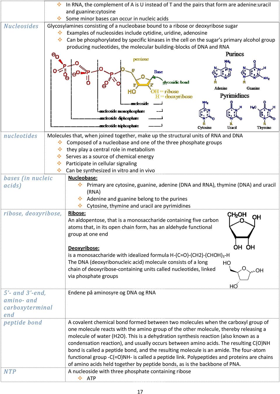 group producing nucleotides, the molecular building-blocks of DNA and RNA nucleotides bases (in nucleic acids) ribose, deoxyribose, Molecules that, when joined together, make up the structural units