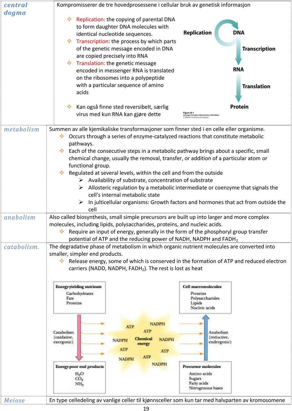 into a polypeptide with a particular sequence of amino acids Kan også finne sted reversibelt, særlig virus med kun RNA kan gjøre dette metabolism anabolism catabolism.