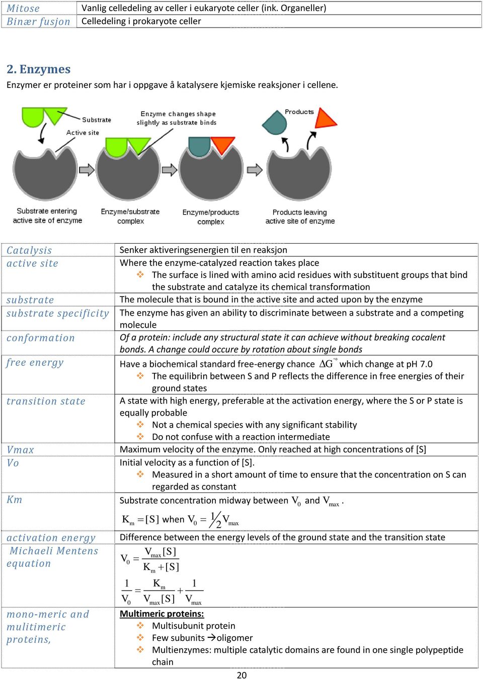 Catalysis active site substrate substrate specificity conformation free energy transition state Vmax Vo Senker aktiveringsenergien til en reaksjon Where the enzyme-catalyzed reaction takes place The