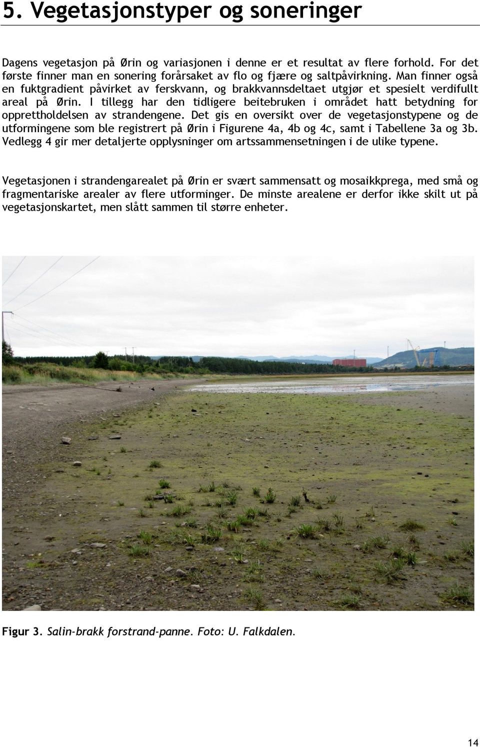 I tillegg har den tidligere beitebruken i området hatt betydning for opprettholdelsen av strandengene.