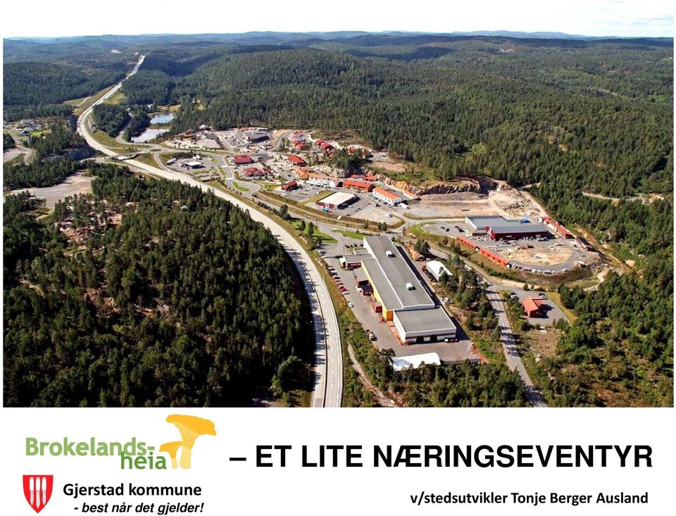 ET LITE NÆRINGSEVENTYR