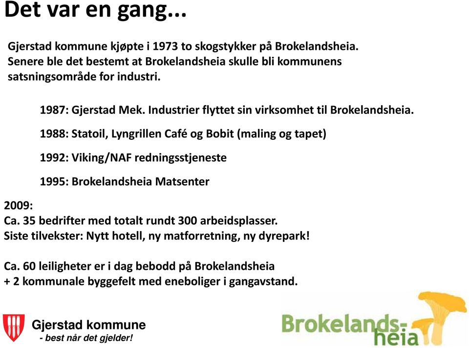 Industrier flyttet sin virksomhet til Brokelandsheia.