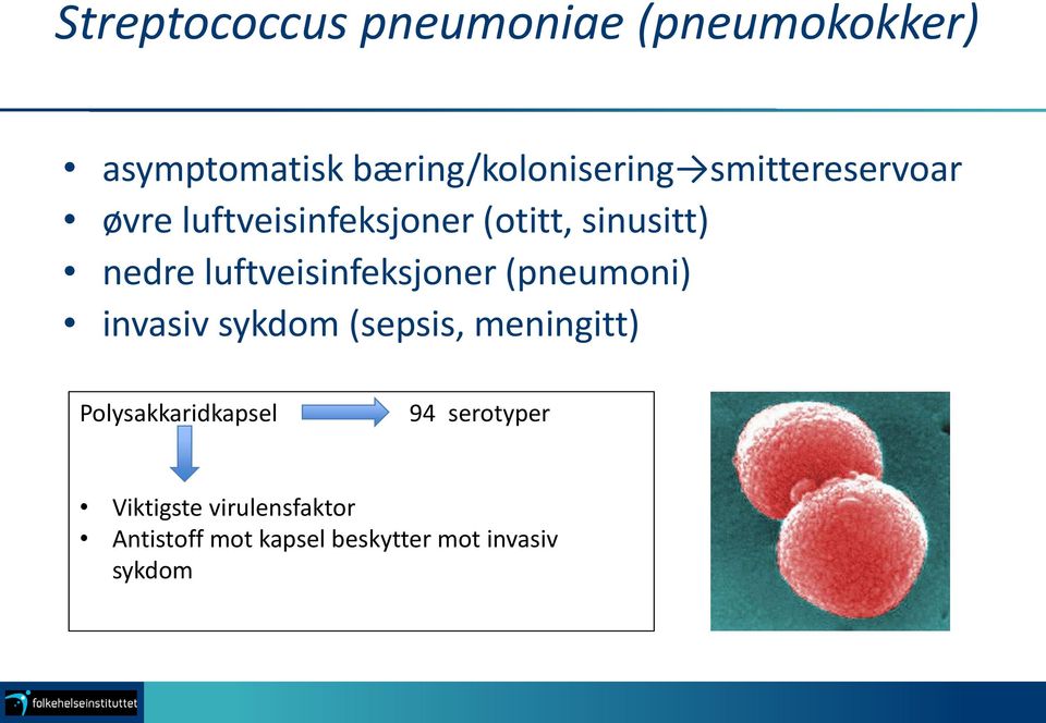 luftveisinfeksjoner (pneumoni) invasiv sykdom (sepsis, meningitt)