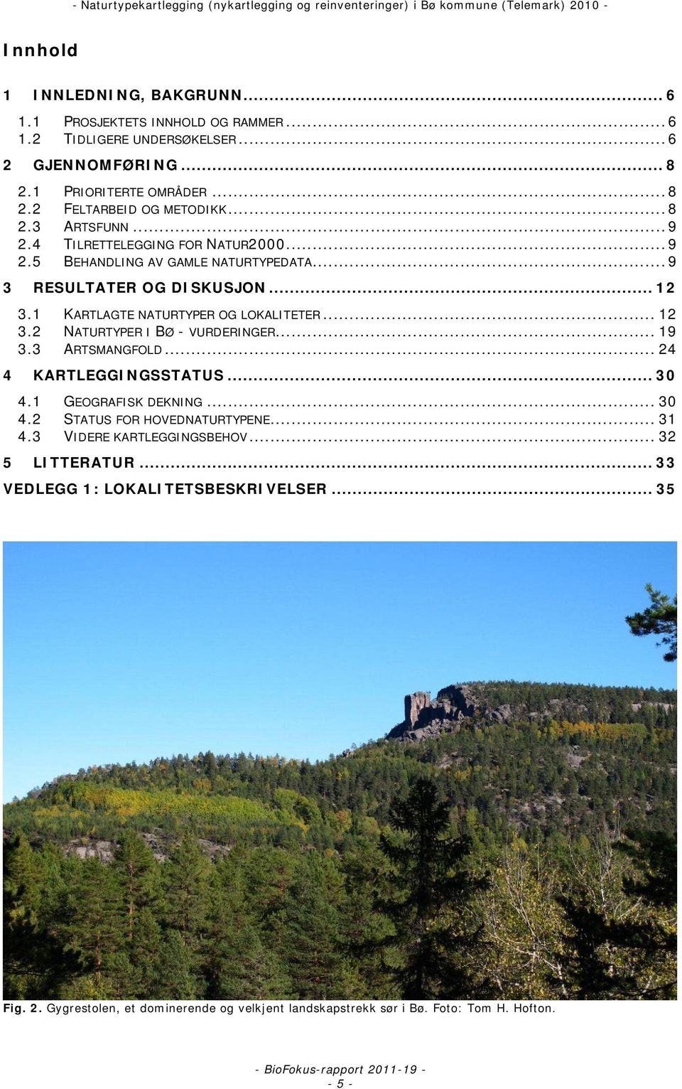 .. 12 3.2 NATURTYPER I BØ - VURDERINGER... 19 3.3 ARTSMANGFOLD... 24 4 KARTLEGGINGSSTATUS... 30 4.1 GEOGRAFISK DEKNING... 30 4.2 STATUS FOR HOVEDNATURTYPENE... 31 4.